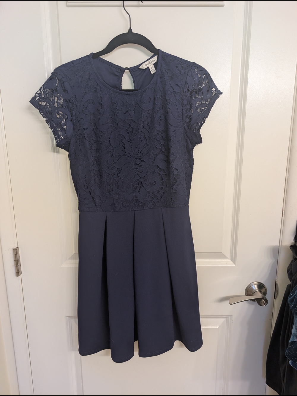 Lace Bodice Navy Fit-and-Flare Dress